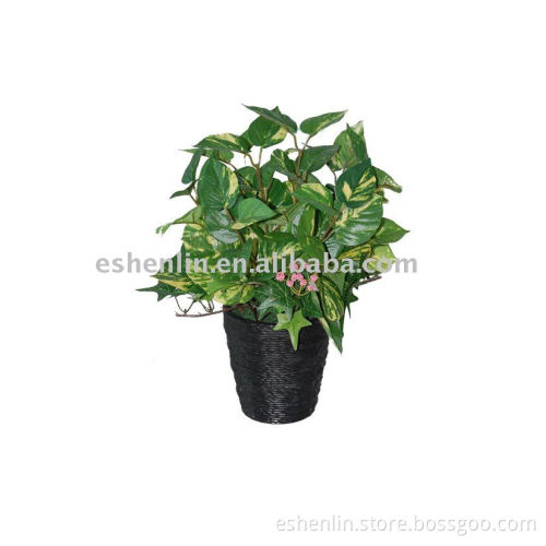 artificial mini potho potted plant